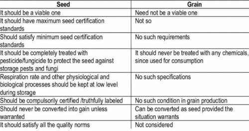 Different between seed and grain​