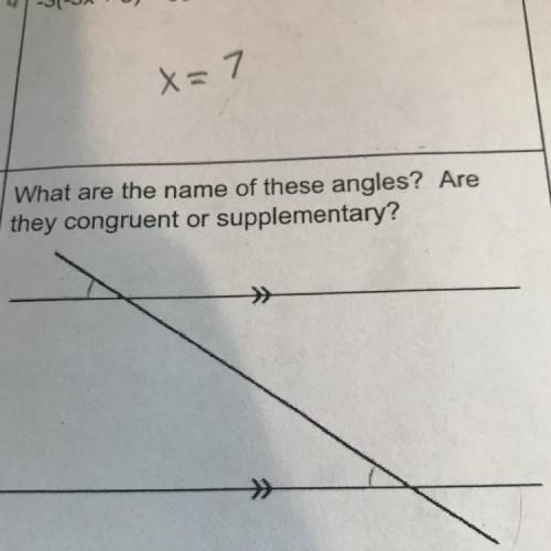 What are the name of these angles? Are
they congruent or supplementary?