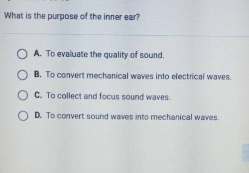 What is the purpose of the inmer ear​