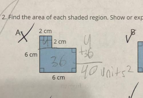 Did I do this right? My teacher marked it wrong, we were solving for area