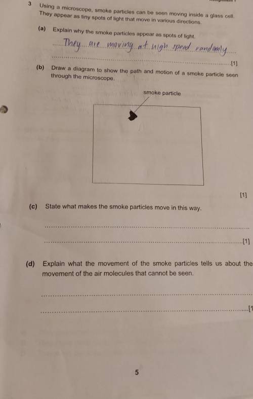 Can someone help me with this, thank you so much !!​