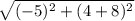 \sqrt{(-5)^2+(4+8)^2}