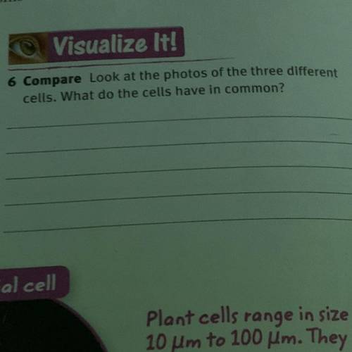 Look at the photos of the three different
cells. What do the cells have in common?