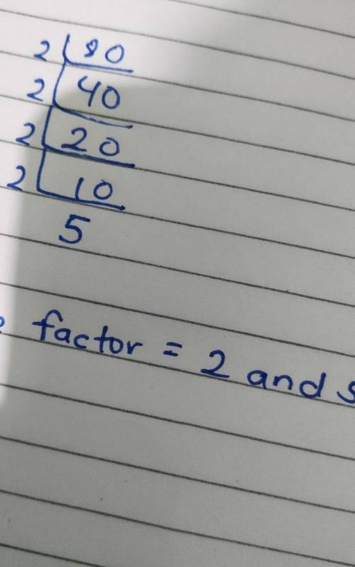 Find all the prime factors of 80