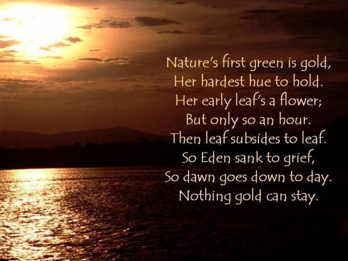 Robert Frost wrote this poem in 1923. What do you think is the message he is giving us? And, why di