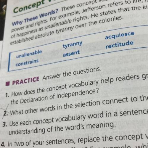 How does the concept vocabulary help readers grasp the issue leading the Declaration of Independenc