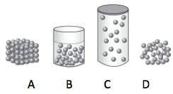 Which has the strongest intermolecular forces?
A B C or D