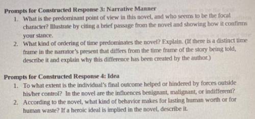 I have to write a paragraph for each prompt. The book is lord of the rings fellowship of the ring!