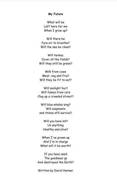 My future poem by David harmer ​