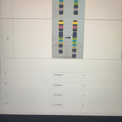 Match the sequences with the mutations that occurred in them.
20 points!