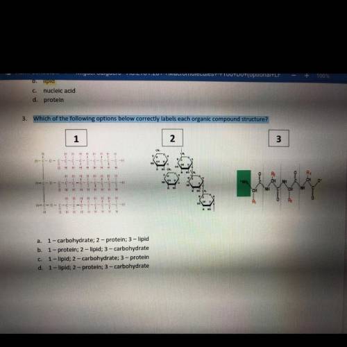 3. Which of the following options below correctly labels each organic compound structure?

1
2
3
3