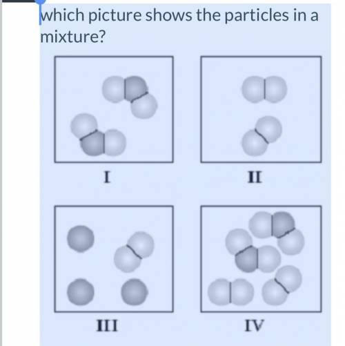 Which picture shows the particles in a mixture?

picture II
picture I
picture I and II
picture III