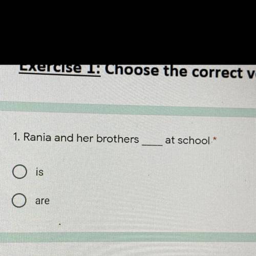 1. Rania and her brothers
at school *
is
are