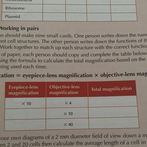 How do i find out the eyepiece magnification?
