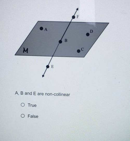 A, B and E are non-collinear O True O False​