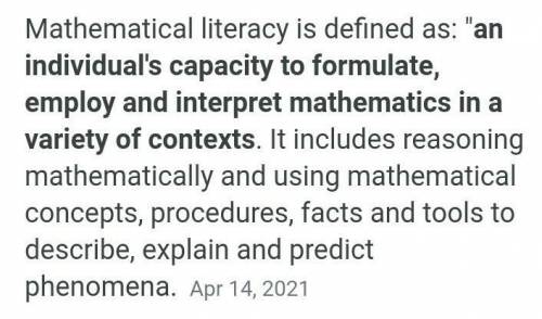 Mathematical Literacy​