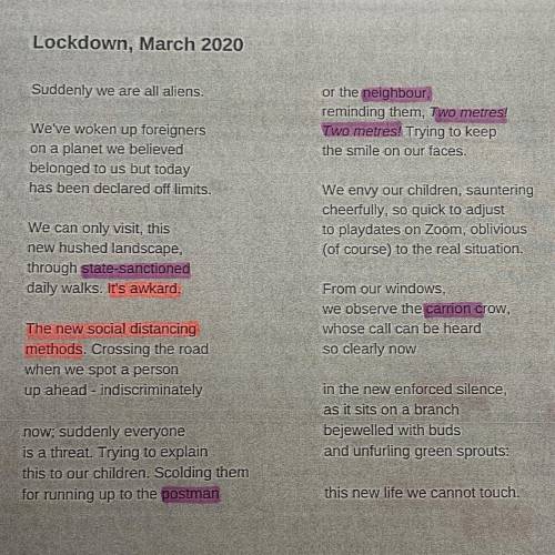 What is the theme of lockdown by sarala estruch