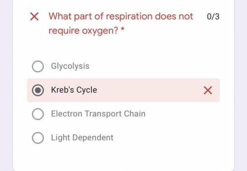 What part of respiration does not require oxygen￼