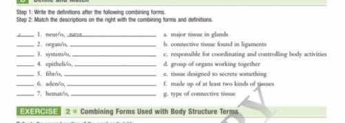 Look at the photo this is for medical terminology! Please help.