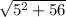 \sqrt{5^2+56}