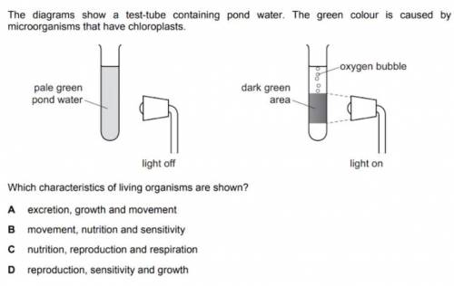 Which characteristic of the organisms are shown