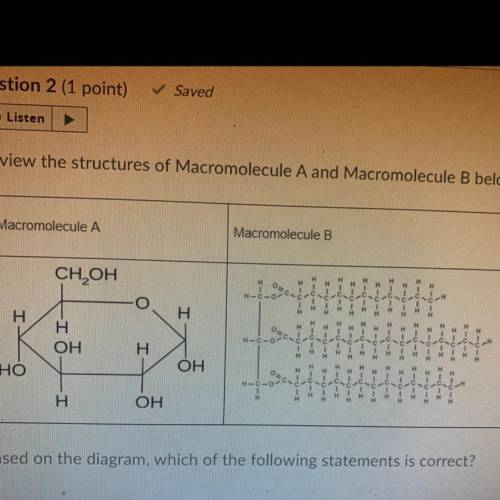 Review the structures of Macromolecule A and Macromolecule B below.

Macromolecule A
Macromolecule