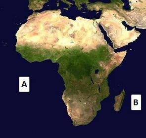 On the map above, what is the body of water labeled B?

A.
the Atlantic Ocean
B.
the Indian Ocean