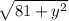 \sqrt{81+y^2}