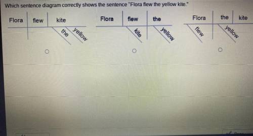 Which sentence diagram correctly shows the sentence Flora flew the yellow kite.