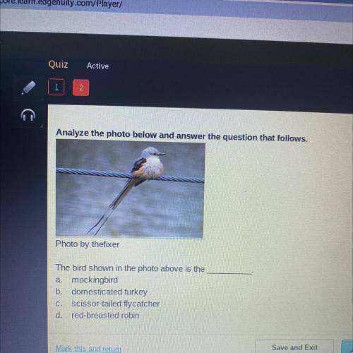 Analyze the photo below and answer the question that follows.

Photo by thefixer
The bird shown in