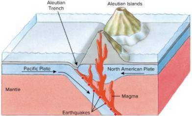 In the figure shown below, which plate is subducting?

A. Aleutian.
B. Magma.
C. North American.
D