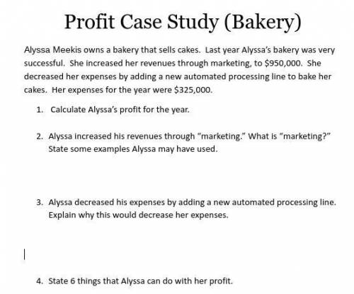 Profit Case Study (Bakery)

Alyssa Meekis owns a bakery that sells cakes. Last year Alyssa’s baker