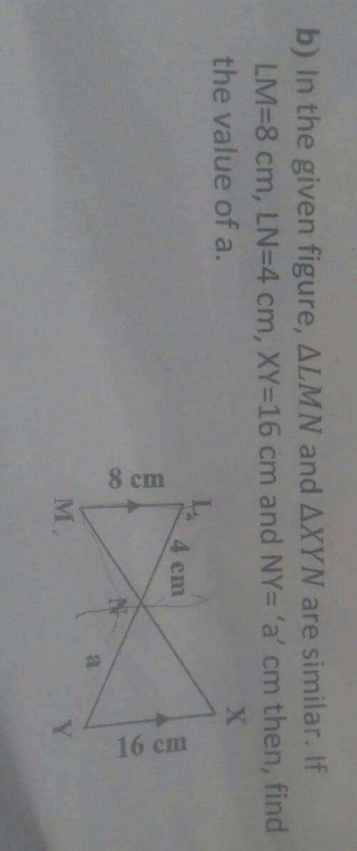 In the given figure ,angle LMN and angle XYN are similar. If LM=8 cm, LN=4 cm,XY=16 cm and NY='a'cm