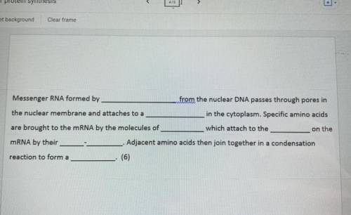 DNA gap fill- please help need answers asap