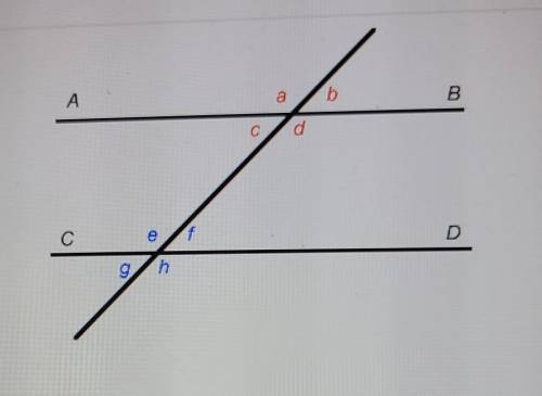 What is true of angles c and d?

A) The two angles are equal B) The two angles are both 90° C) The