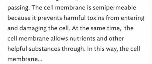 Why is the cell membrane described as semipermeable?

A) It allows all molecules to enter and exit