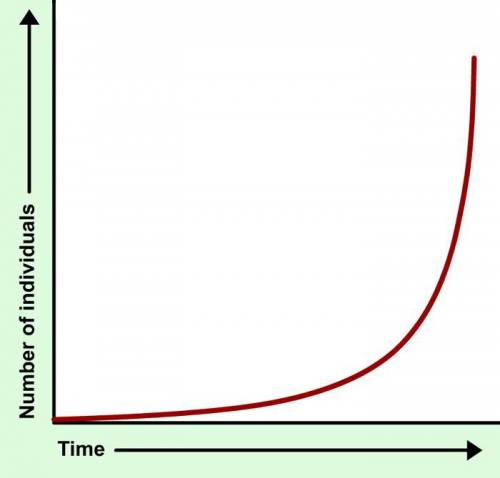 Study this classic J-shaped graph of exponential growth in a population. How does the population ch