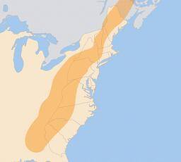 Which feature does the highlighted area on the map show?

Chesapeake Baythe Appalachian Mountainst