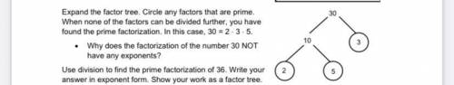 Why does the factorization of the number 30 NOT have any exponents?