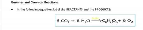 Label the reactants and the products