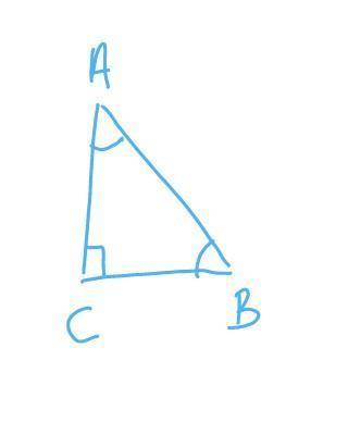 In the right triangle ABC, m
1) tan A
3) sin A
2) tan B
4) sin B