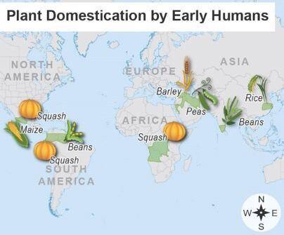 A map titled Plant Domestication by Early Humans. Locations where squash, maize, beans, peas, rice,