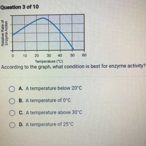 According to the graph, what condition is best for enzyme activity?