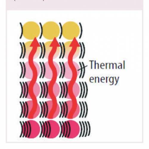 Which statement is true?

A. Solids, liquids, and gases tend to conduct thermal energy equally wel