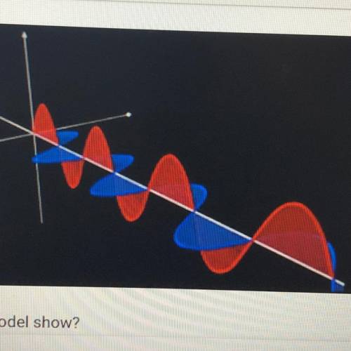 What does the model show?

A. Two light waves vibrating parallel to the direction of travel of the