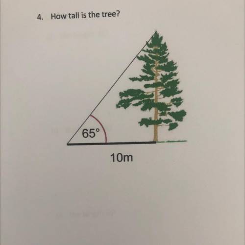 4. How tall is the tree?
65°
10m