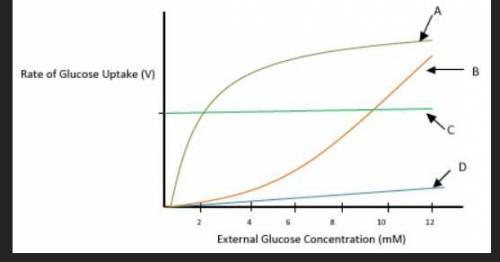 The following is a graphic representation of glucose uptake across a cell membrane at increasing ex
