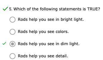 Which of the following statements is TRUE?

A.
Rods help you see in bright light.
B.
Rods help you