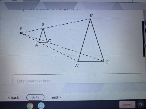 The triangles in each pair are similar. Identify

the congruent corresponding angles and the
corre