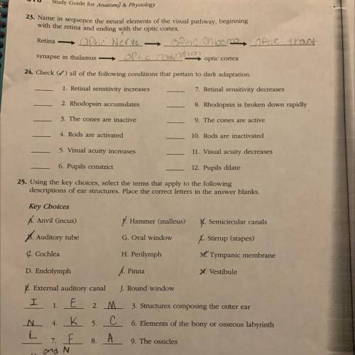 Can someone please help me with number 24?